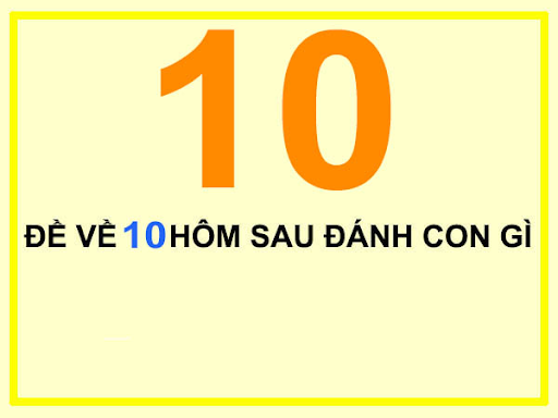 Phân tích 10 cung bí mật dựa vào bóng âm dương